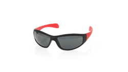 Lunettes de Soleil Hortax
