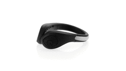 Security Light Terrier